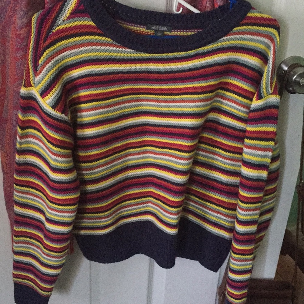 target: wild fable colorful sweater